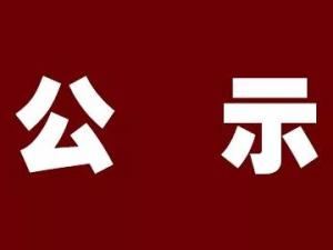 湖州市正策融資擔(dān)保有限公司 擬提拔中層管理人員任前公示通告